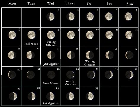 Haircut Moon Calendar January 2024 - Lula Sindee