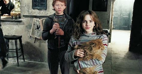 Hermione's Crookshanks Might Have Connected Her To The Potters Before ...