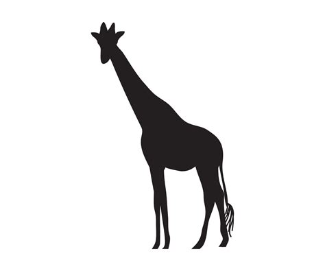 the giraffe silhouette 3782037 Vector Art at Vecteezy