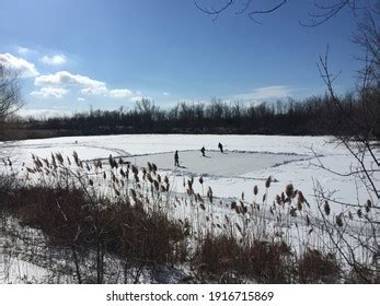 140 Shinny Hockey Images, Stock Photos, 3D objects, & Vectors | Shutterstock