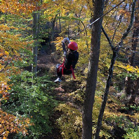 Hocking Hills Canopy Tours (Rockbridge) - 2019 All You Need to Know ...