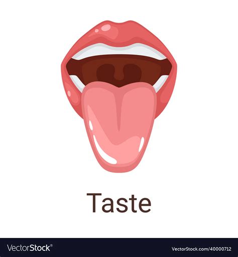 5 Senses Taste Clip Art