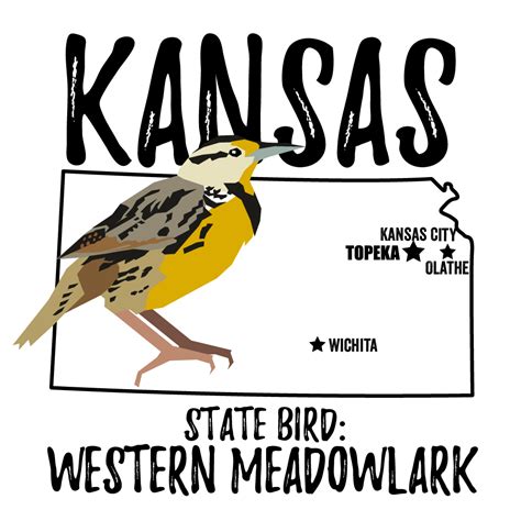 Kansas State Bird - Bird Watching Academy