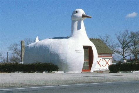 When Novelty Follows Function: The Kitschy Designs of Duck Architecture ...