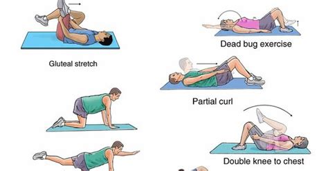 Spondylolysis Exercises