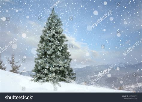 256,068 Christmas Tree Mountain Stock Photos, Images & Photography | Shutterstock