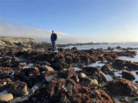 The Great Tide Pool | Monterey - Utah's Adventure Family