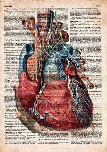 Medical Artwork, Medical Wallpaper, Biology Art, Biology Poster ...