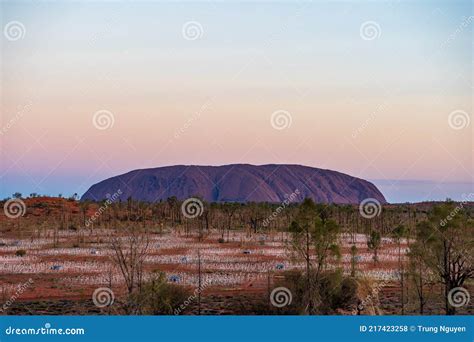 Field of Light at Uluru editorial stock photo. Image of dusk - 217423258