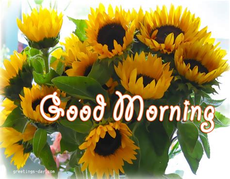 Good Morning With Sunflowers - Good Morning Wishes & Images