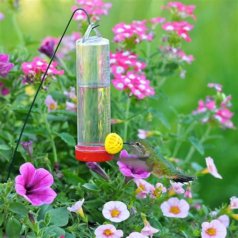 Planter Box Hummingbird Feeder | Humming bird feeders, Feeder, Glass hummingbird feeders