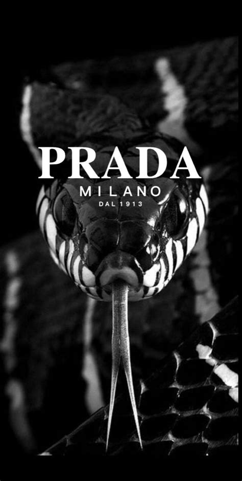 PRADA wallpaper | Hintergrund iphone, Iphone, Hintergründe | Vintage posterler, Baskı, Yılanlar