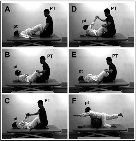 Park et al.: procedure for the trunk exercise program. | Download ...