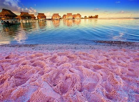 Pink Sand Resort, Bahamas | Pink sand beach bahamas, Colored sand ...