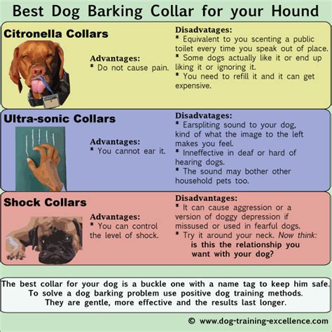 How to use a dog barking collar humanely