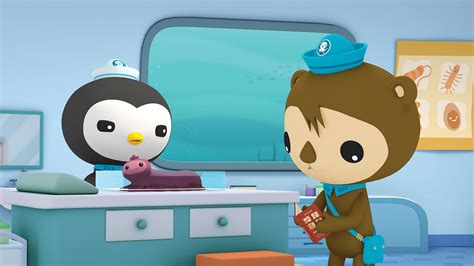 BBC iPlayer - Octonauts - Series 1: 20. The Snot Sea Cucumber