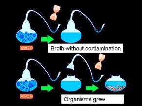 Louis Pasteur's Swan Flask Experiments