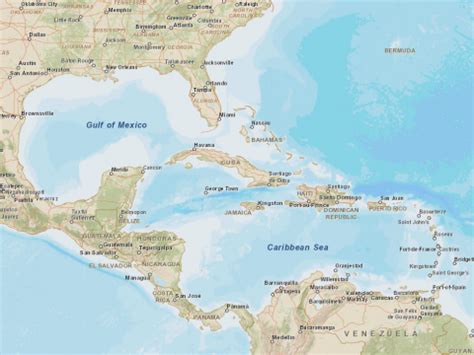 Gulf Of Mexico Caribbean Sea Map - Athene Patricia