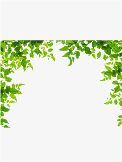 Green Leaves Border PNG, Clipart, Border, Border Clipart, Green, Green ...