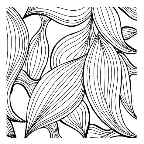 Simple Black And White Patterns Backgrounds, Black And White Drawing, Black Vector, Line PNG and ...