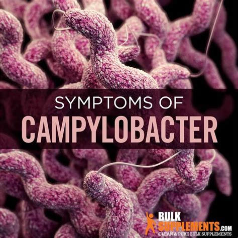 Campylobacter: Symptoms, Causes & Treatment