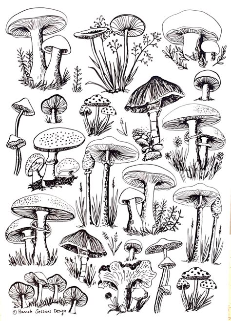 A4 Art Print of Mushroom Drawings Special - Etsy Canada