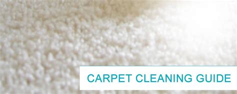 Carpet Cleaning Guide Australia