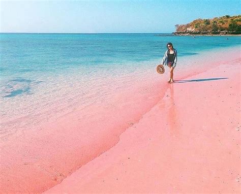 Snorkelling Trip-Pink Beach, Lombok - Jalal Tour Guide, Lombok