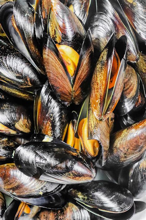 How to Cook Frozen Mussels - Smoked, Boiled, Pressure Cooker