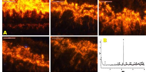 A. Cathodoluminescence microscopy and B. micro-Raman spectroscopy of ...