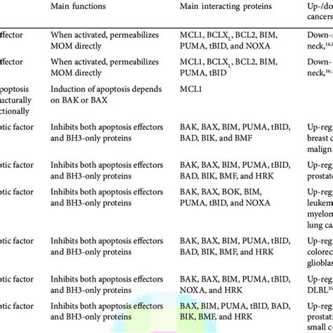 (PDF) BCL2 Family, Mitochondrial Apoptosis, and Beyond