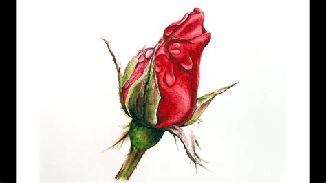 Red Rose in Watercolors Painting Tutorial - YouTube | Watercolor paintings tutorials, Painting ...
