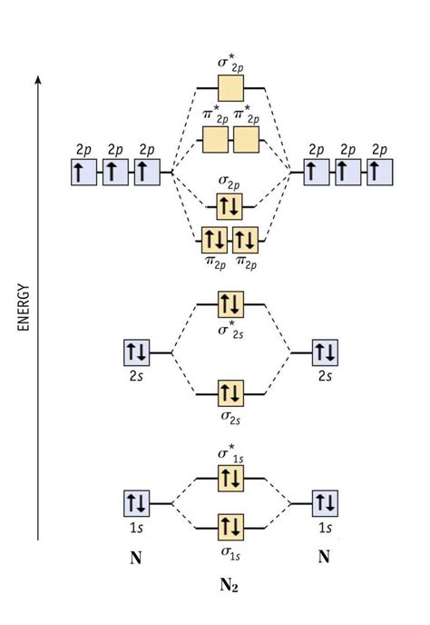 How To Draw Molecular Orbital Diagram Of No Humbled Blogged Pictures ...