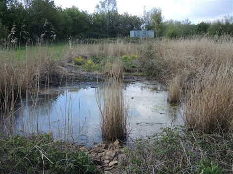 Two ponds separate from the pipes © Neil Owen cc-by-sa/2.0 :: Geograph Britain and Ireland