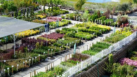 Green Acres Nursery & Supply Locations | Garden nursery, Garden center displays, Nursery supplies