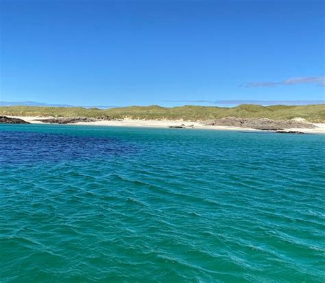 Basking Shark Scotland (Oban) - 2020 All You Need to Know Before You Go (with Photos) - Oban ...