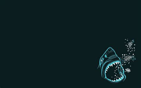 1680x1050 shark download latest wallpaper for pc | Shark background ...