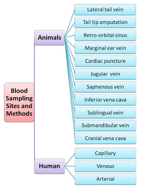 Blood sampling sites in animals and human. | Download Scientific Diagram