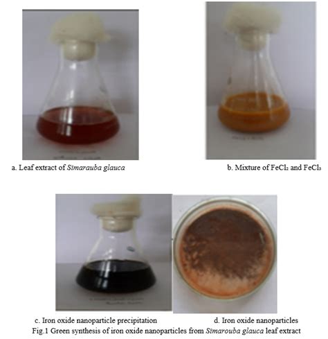 Green Synthesis of Iron Oxide Nanoparticles Using Simarouba Glauca Leaf Extract and Application ...