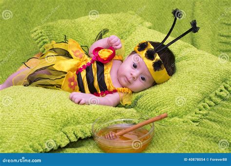 Honey Bee Baby stock photo. Image of cute, infant, costume - 40878054