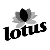 Lotus Logo Vector – Brands Logos