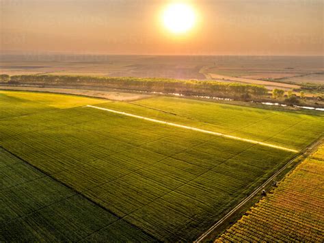 Aerial view of agricultural sprinklers irrigating vast soybean field at ...