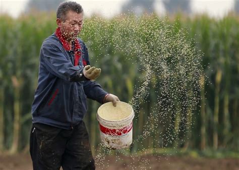 China's total arable land shrinks nearly 6% from 2009-2019 - survey | Reuters