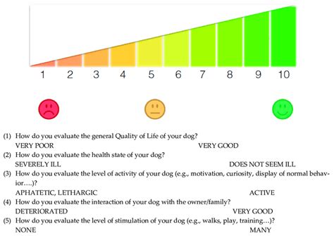 The 1-10 visual scale used to evaluate dogs' QoL. For each of the five ...