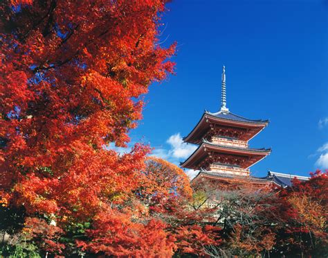 Kiyomizu-dera Temple Autumn View, Pictures of Kiyomizu-dera Kyoto ...