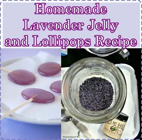 Homemade Lavender Jelly and Lollipops Recipe - The Homestead Survival