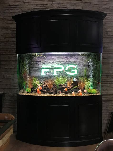 Custom Aquariums — Aquarium Adventure Columbus