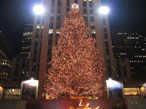 Central Park Christmas Tree 🎄 | Big christmas tree, Favorite christmas songs, New york christmas ...