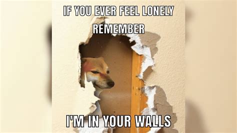 I Am Living in Your Walls: Video Gallery (Sorted by Views) | Know Your Meme