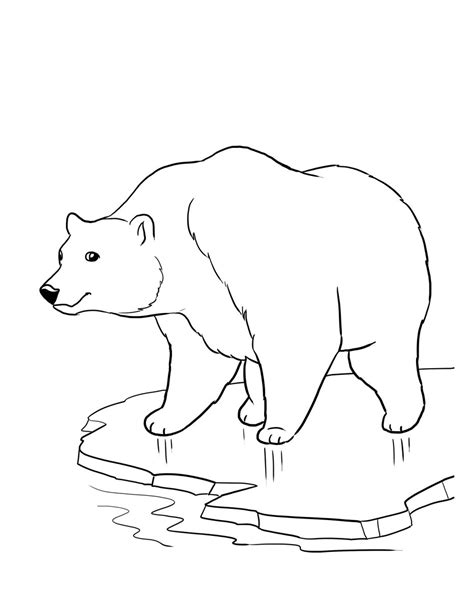 Bear Outline Drawing at GetDrawings | Free download